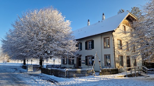 Bild von 100 Jahre SRG Region Basel - Jubiläumsbrunch in Reinach